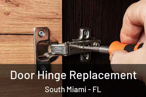 Door Hinge Replacement South Miami - FL