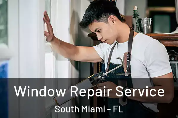 Window Repair Service South Miami - FL